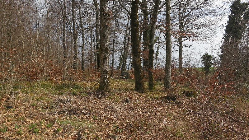 Le Menhir quadrangulaire tronqué, mégalithe sur la commune de Saint